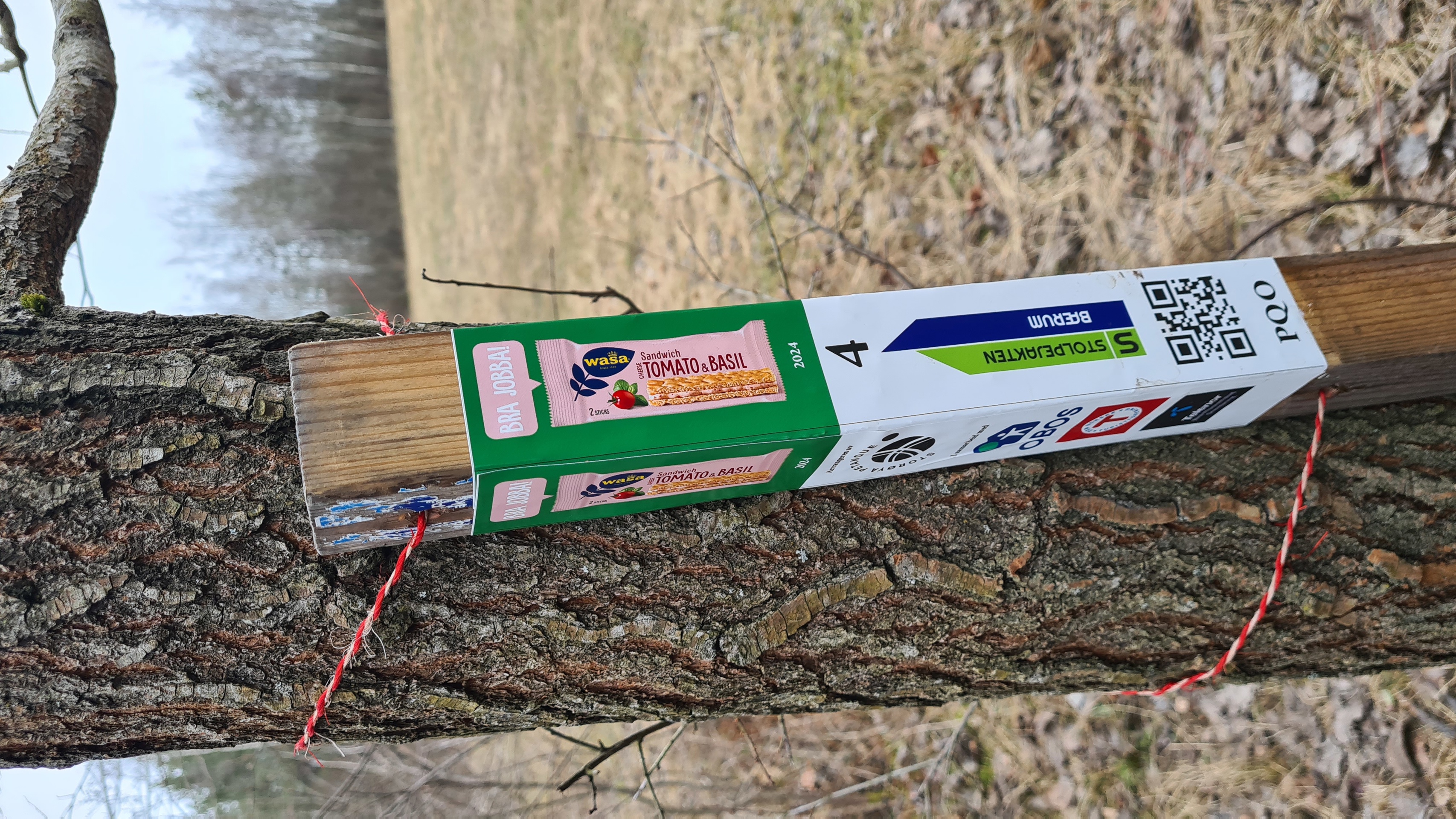 Stolpejakt på Fornebulandet!